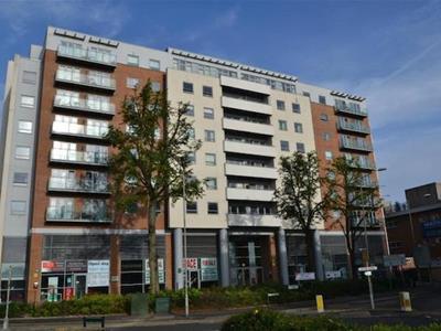 Picture 5